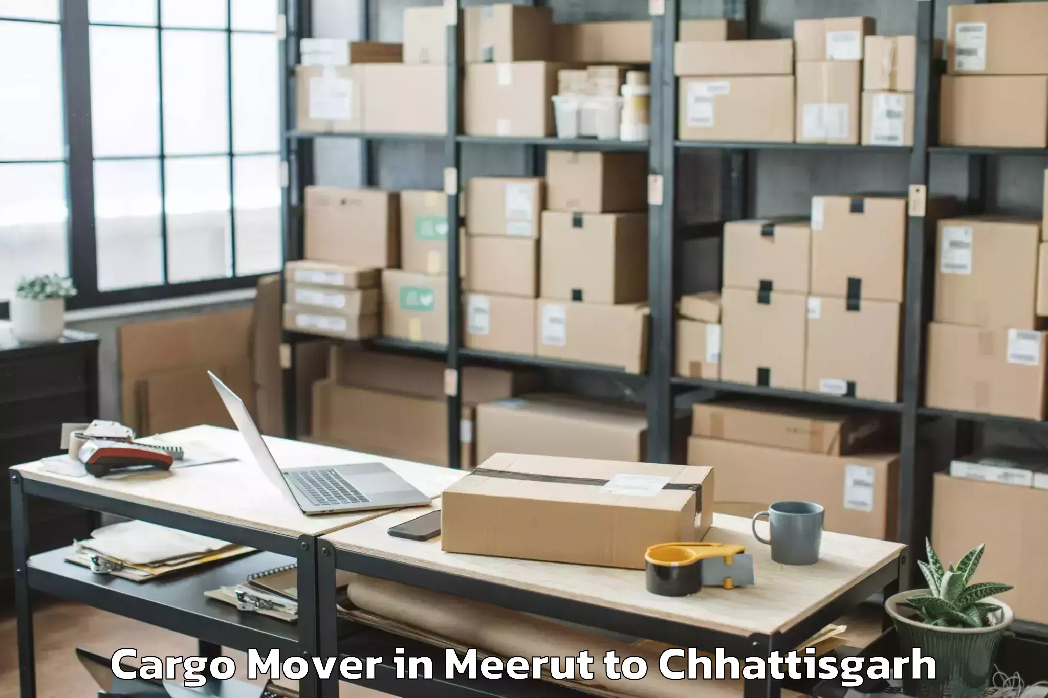 Meerut to Nawagarh Cargo Mover Booking